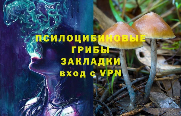не бодяженный Лагань