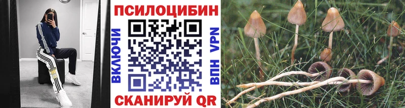 Псилоцибиновые грибы GOLDEN TEACHER  Тейково 