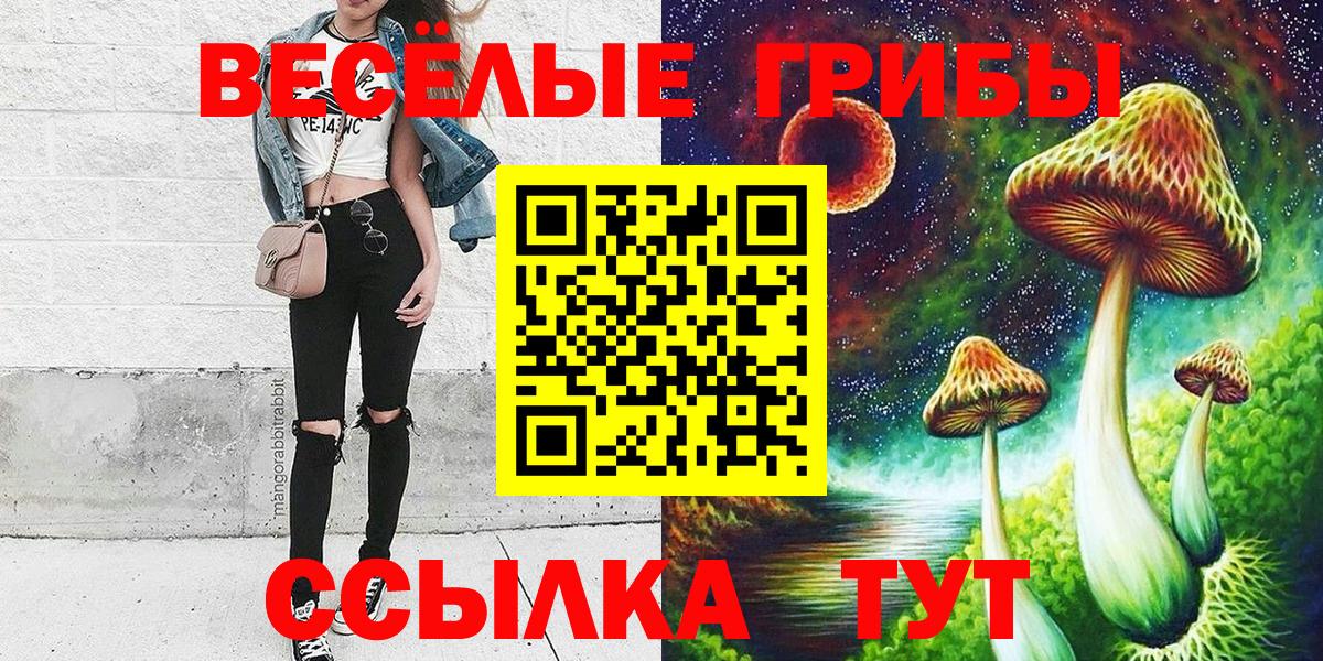 Псилоцибиновые грибы Cubensis Тейково