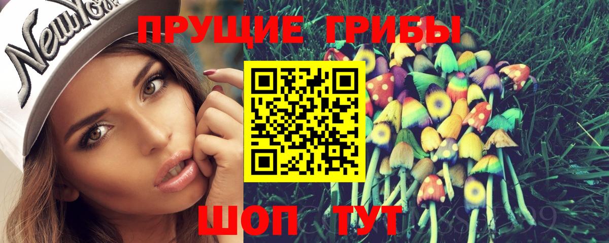 Тейково  Галлюциногенные грибы Psilocybine cubensis  Вход с VPN 