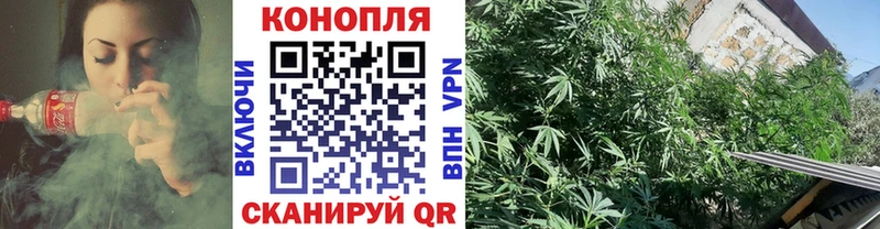 это формула  Тейково  Бошки Шишки тримм 